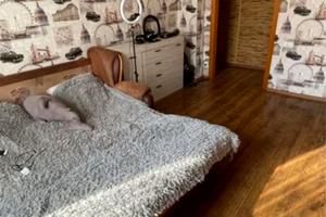 квартира по адресу Сачко ул. (Сачко), 7