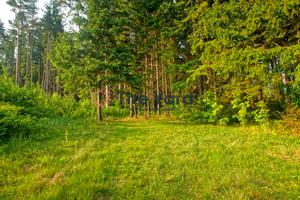 участок по адресу с. Лубянка, Нова