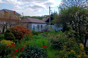 ділянка за адресою Дениса Максишка вул. (Марії Демченко), 10а