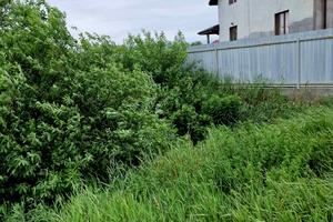 участок по адресу городецького, 18