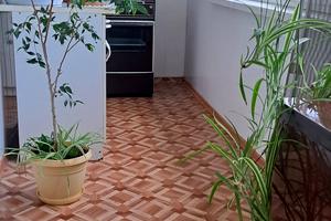 комната по адресу Генерала Петрова ул., 5