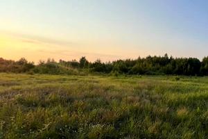участок по адресу Николая Петровского ул.