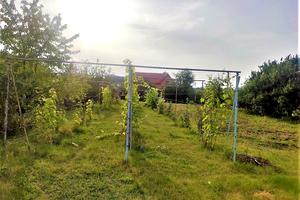 ділянка за адресою смт. Коротич, Агрономічна