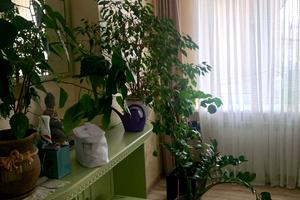 квартира за адресою Паркова вул., 75
