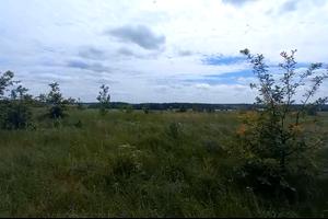 участок по адресу с. Михайловка-Рубежовка, Соловяненка, 4
