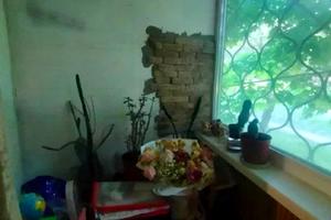 квартира по адресу Гарибальди ул., 11а