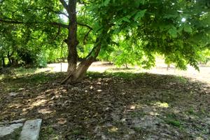 будинок за адресою Нагатенка