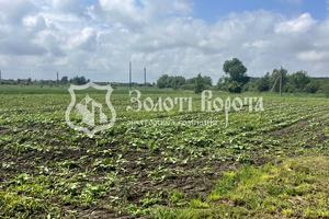 ділянка за адресою Старокиївська, 103