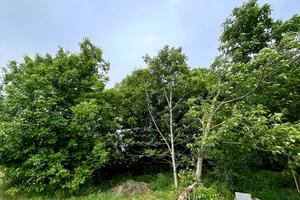 ділянка за адресою Бобрицька вул., 52