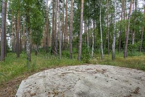 будинок за адресою Лісова, 2