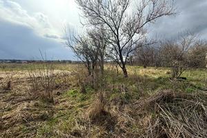 участок по адресу Ворошилова