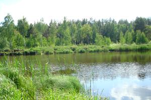 участок по адресу с. Николаевка, Сонячна
