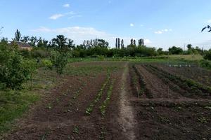 ділянка за адресою Котляревського вул., 28