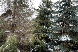 ділянка за адресою 