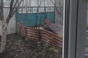 дом по адресу Янки Купалы ул., 75