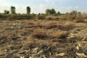 ділянка за адресою провулок Широкій