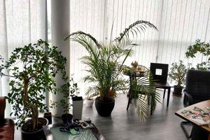 коммерческая по адресу Грушевского Николая ул., 19