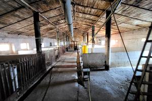комерційна за адресою Нова, 1