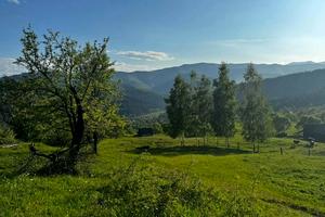 ділянка за адресою Хижки