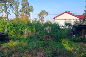 ділянка за адресою Академіка Ромоданова вул. (Льва Толстого)
