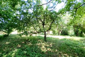 дом по адресу Гагаріна, 24