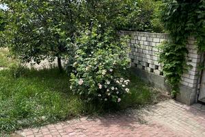 дом по адресу Одесса, 1-й Керченський пер., 2
