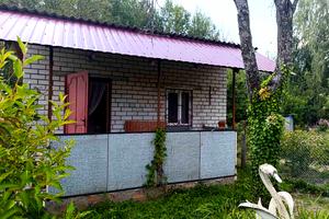 будинок за адресою Бузкова, 11