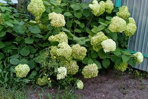 будинок за адресою Першотравнева вул.