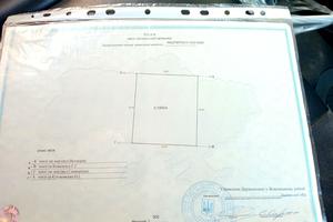 будинок за адресою Симона Петлюри, 1