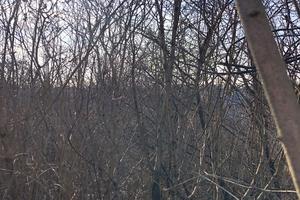 участок по адресу пгт. Гостомель, Чумацкий путь ул.