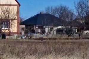 участок по адресу Ржищев, Вишнева