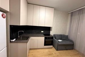 квартира по адресу Краснова ул., 3