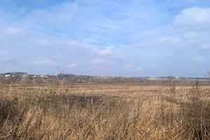 участок по адресу с. Старые Безрадичи, 