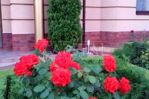 будинок за адресою Редутна вул.