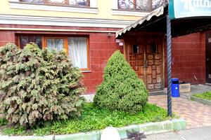 комерційна за адресою Добровольців вул. (Маршала Говорова), 10в