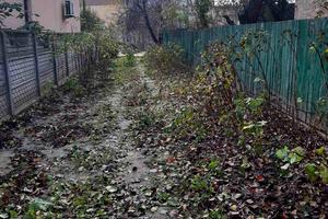 участок по адресу Галшки Гулевичівни пер. (Столетова), 14А