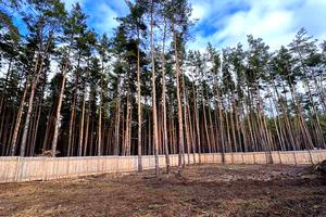 ділянка за адресою Буча, Василя Липківського