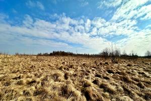 ділянка за адресою Олександра Довженка вул., 10