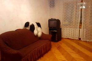 квартира за адресою Запорізьке шосе, 60