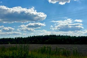ділянка за адресою с. Фасова, 