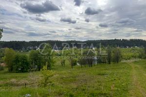 участок по адресу с. Ходосовка, 