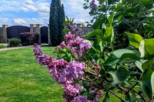 будинок за адресою Чернинська вул.