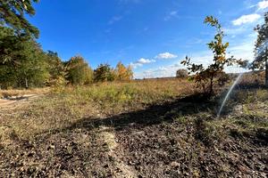 участок по адресу Вишнева