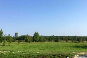 ділянка за адресою с. Паланки, Лісова вул.