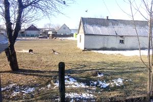 ділянка за адресою Андріївська, 31