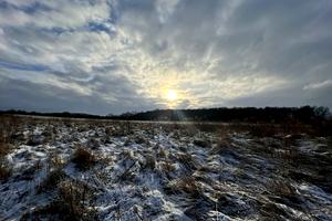 ділянка за адресою старе село