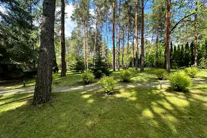 участок по адресу Лесная ул., 34