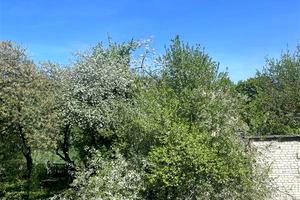 квартира за адресою Соборна вул., 250 БОС