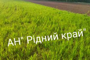 будинок за адресою с. Малий Тростянець, Полтавський шлях, 10