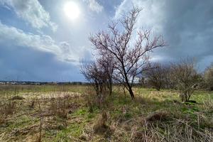 участок по адресу Ворошилова